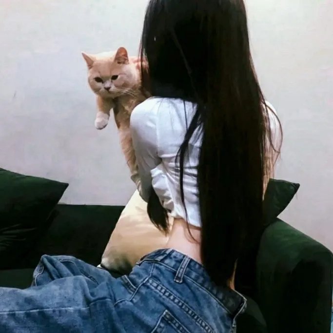 无头家族 在线观看